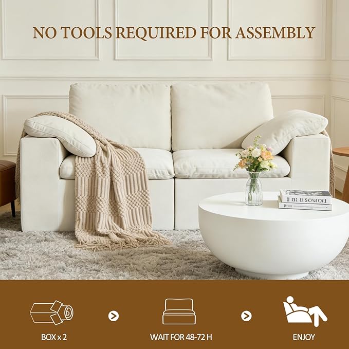 ANONER 78" Loveseat Sofa, Deep Seats, Cloud Sectional Couches for Living Room, 2 Seater Boneless Couch, Modern Modular Loveseats, No Assembly, Beige