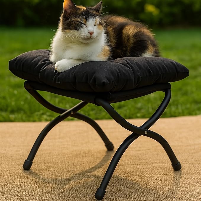 Welnow Folding Foot Stool, Upholstered Small Accent Ottoman with Detachable Thick Cotton Cushion Padded Sofa Stool and Metal Frame for Lazy Chair, Living Room, Bedroom, Black