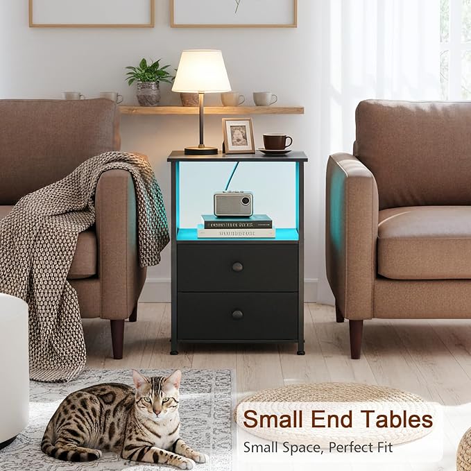 LOAKEKEL Night Stand Set 2, LED Nightstand with Charging Station, End Tables with Storage Shelf, Bed Side Table with 2 Fabric Drawers for Bedroom, Small Spaces, Black, HETS02BK