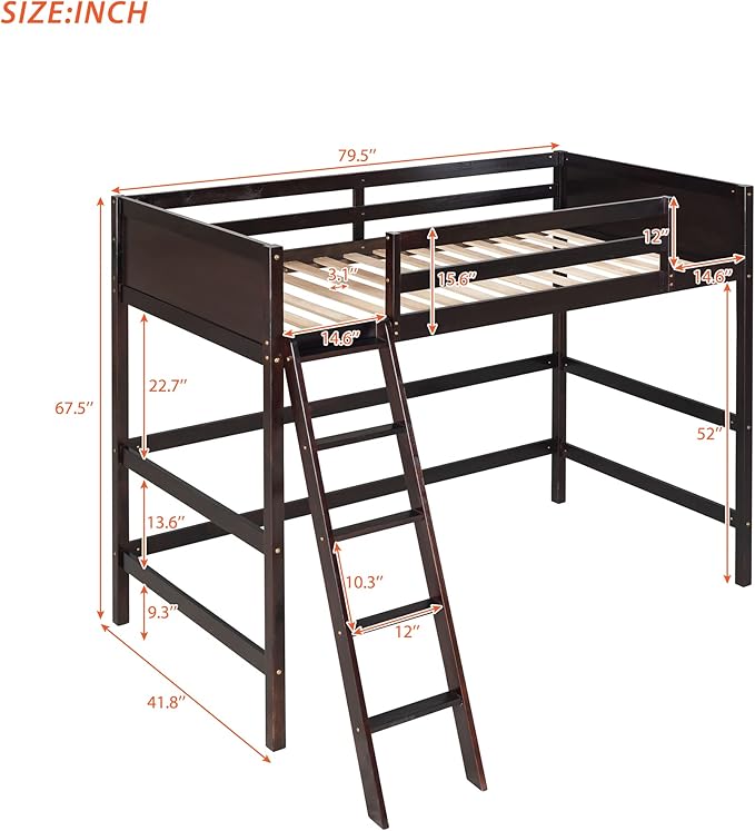 Merax Twin Modern Kids Wood Loft Bed with Gardrail and Ladders Loft Bunk Bed for Juniors, No Box Spring Needed, Espresso