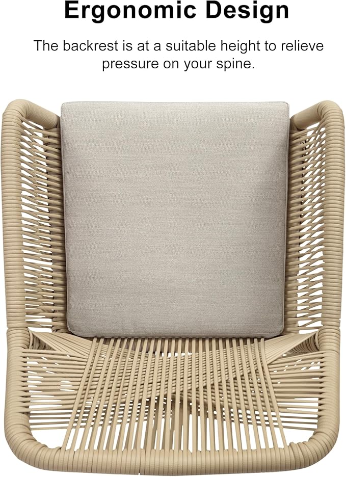 PURPLE LEAF 11 Pieces Outdoor Dining Set All-Weather PE Rattan Outdoor Patio Furniture Set with All Aluminum Frame Rectangular Table and Chairs Set for Lawn Garden Backyard Deck, Teak