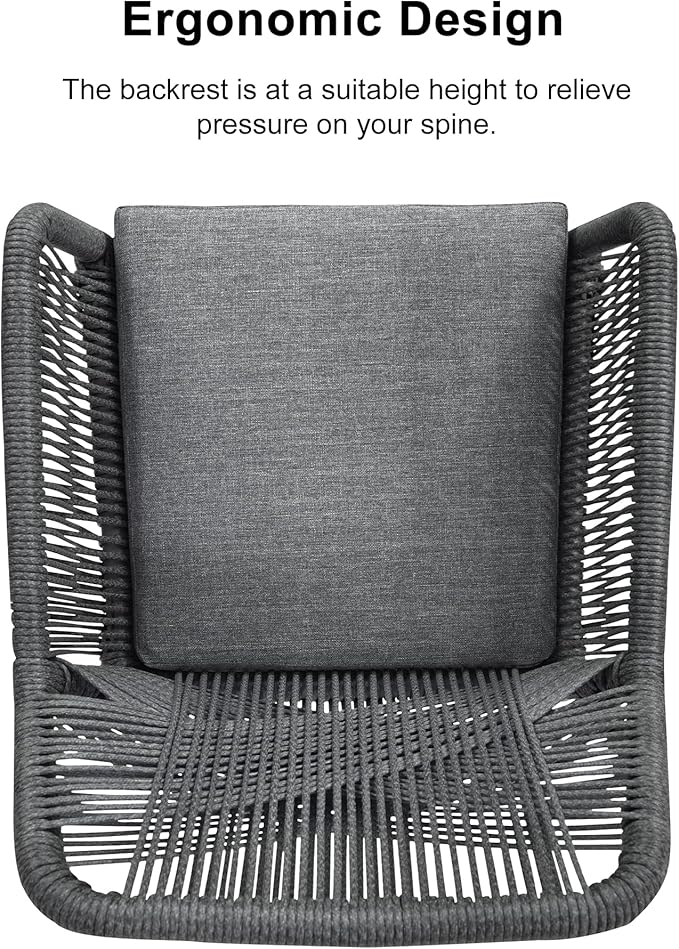 PURPLE LEAF Outdoor Patio Dining Set All-Weather PE Rattan Furniture Set with All Aluminum Frame Rectangular 9 Pieces Table and Chairs Set for 8 People Lawn Garden Backyard Deck, Grey